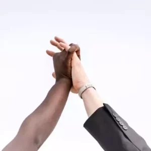 blog immobilier Pays-Basque, avantages, conseiller immobilier indépendant, réussir ensemble