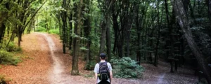 blog immobilier pays basque, mandat exclusif, mandat simple, banner