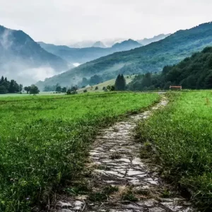 accompagnement, blog immobilier pays-basque