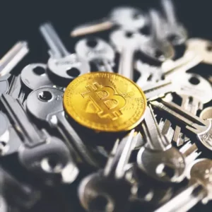 conseiller immobilier spécialisé en cryptomonnaies